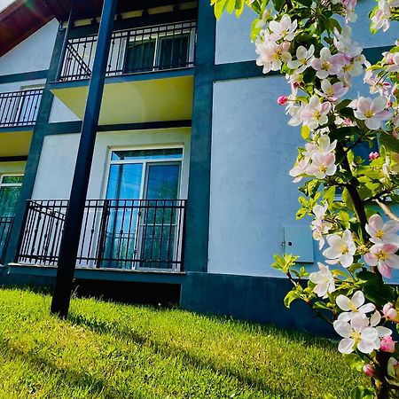 Hotel Vila Salzburg Ocna Sibiului Zewnętrze zdjęcie