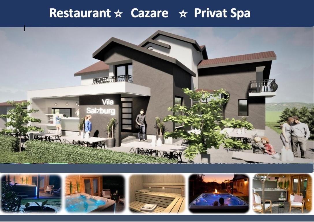 Hotel Vila Salzburg Ocna Sibiului Zewnętrze zdjęcie