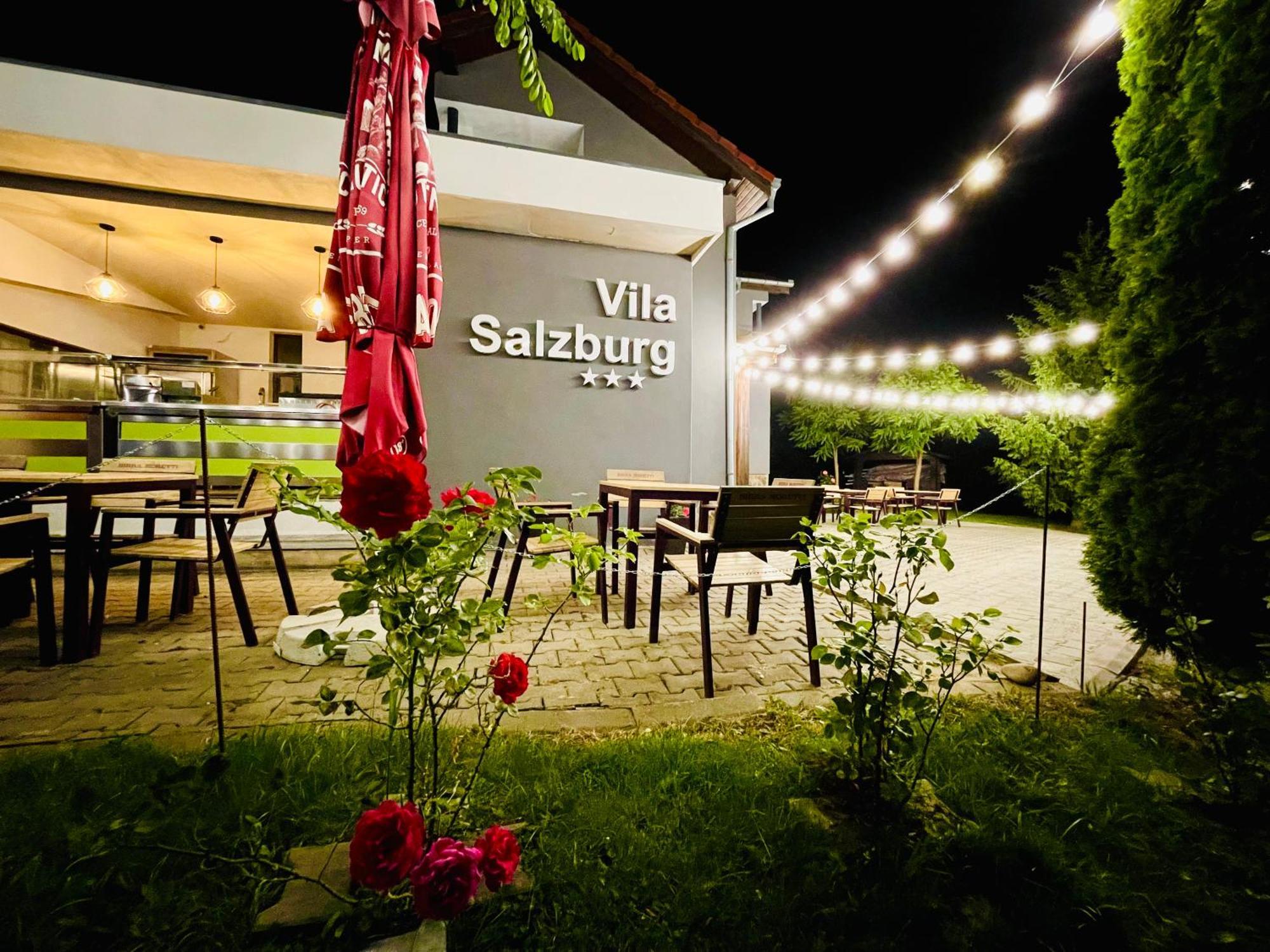 Hotel Vila Salzburg Ocna Sibiului Zewnętrze zdjęcie
